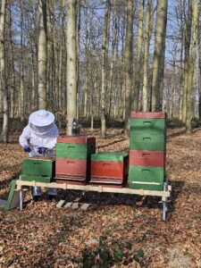 Imker am Bienenstand