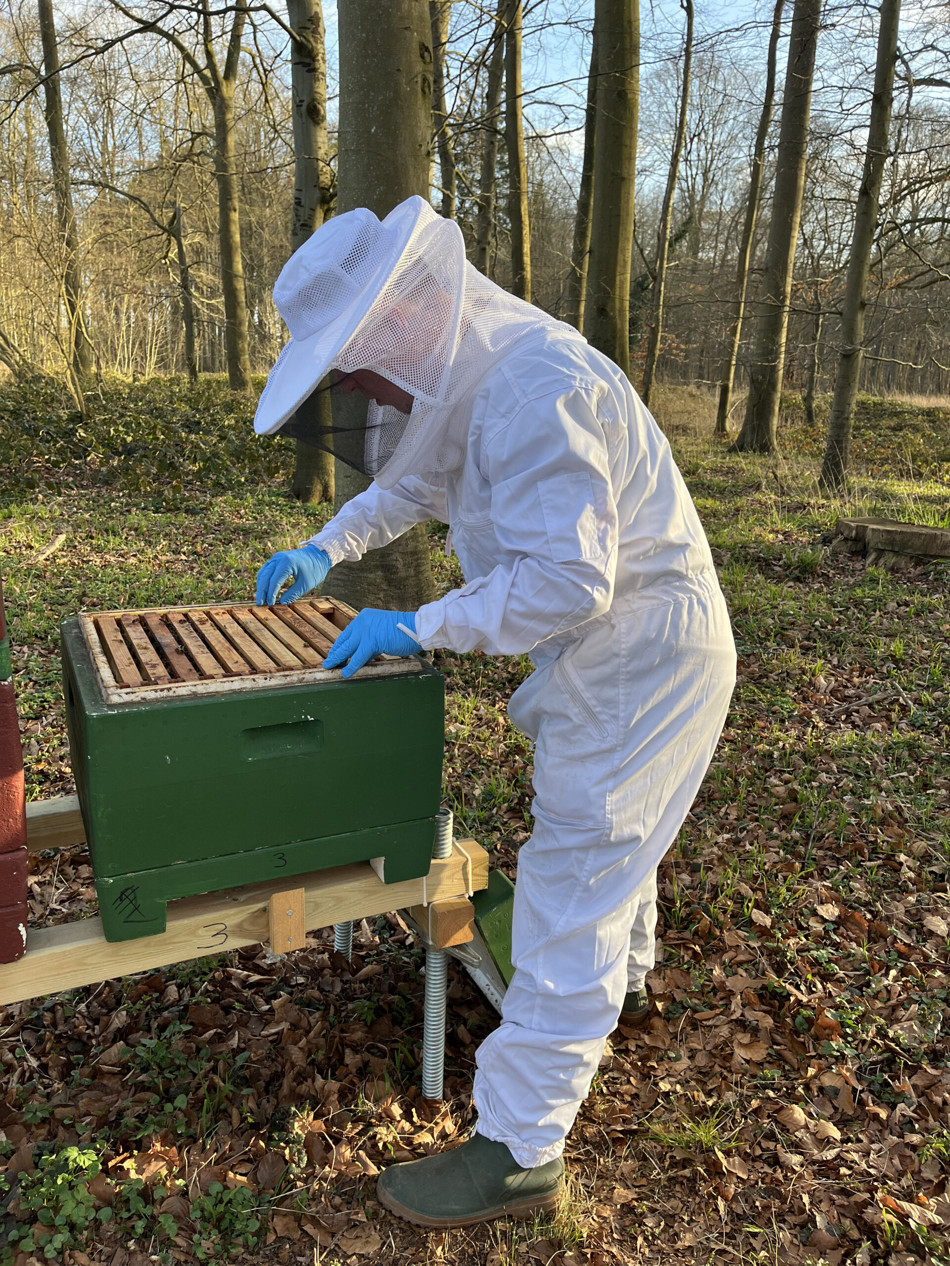 Imker arbeitet am Brutraum des "Probsteier Ostsee Honig"
